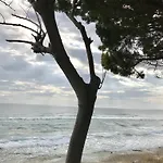 Sea Front *
