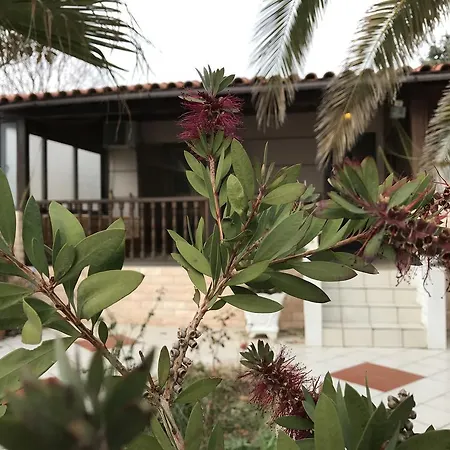 בית נופש Sea Front