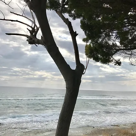 Sea Front *