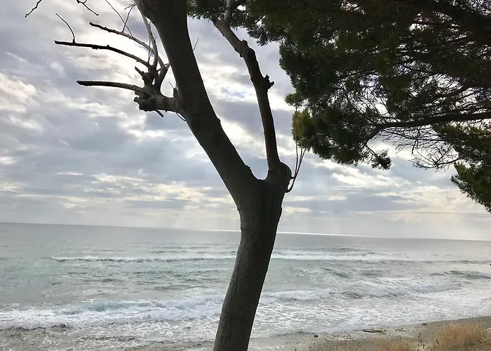 Sea Front *